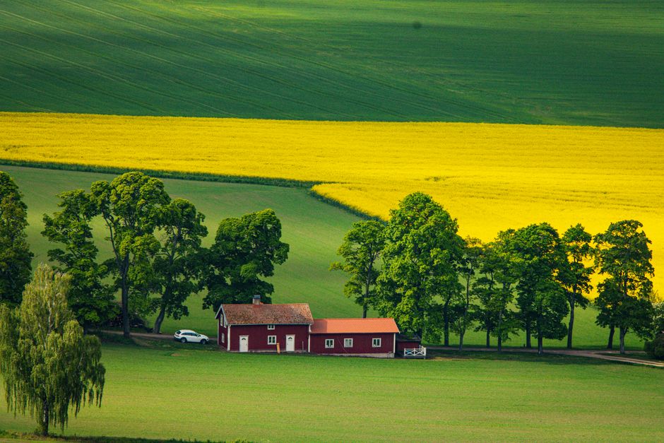 Captivating view of a red farmhouse amidst green and yellow fields in Gränna, Sweden.
