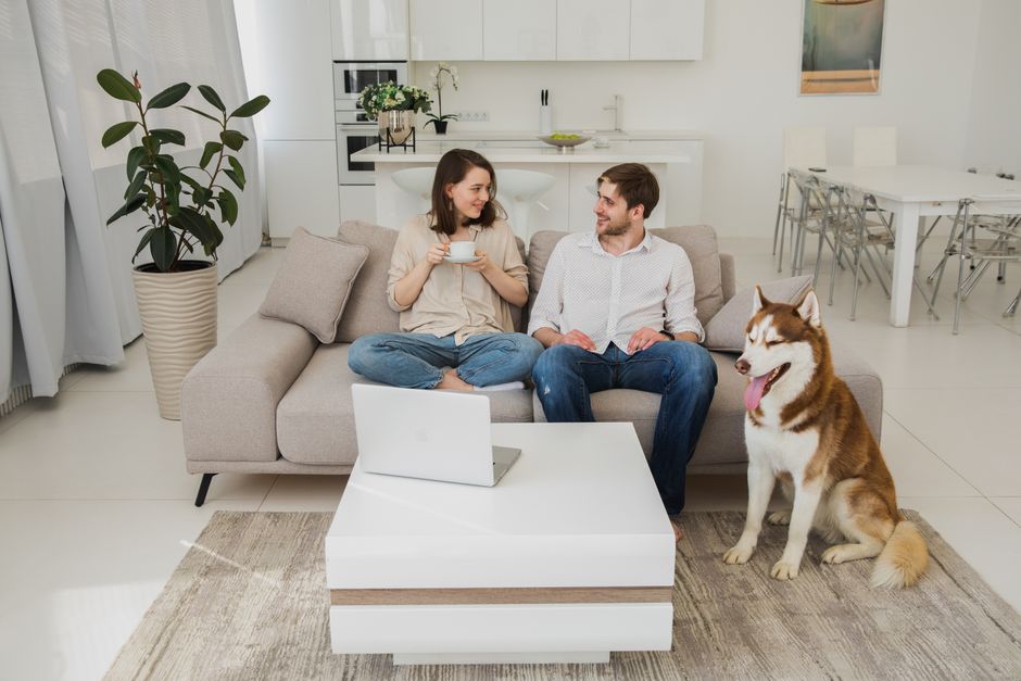 A couple relaxing with a Siberian Husky in a modern living room, using a laptop.