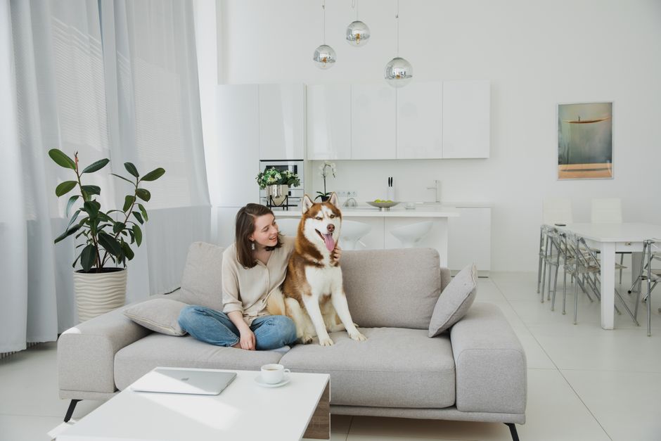 A joyful woman and her husky enjoying a relaxing moment on a sofa in a bright living room.