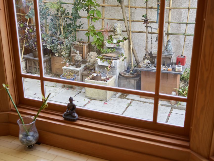 Spring Window Ledges: Plants Without Clutter