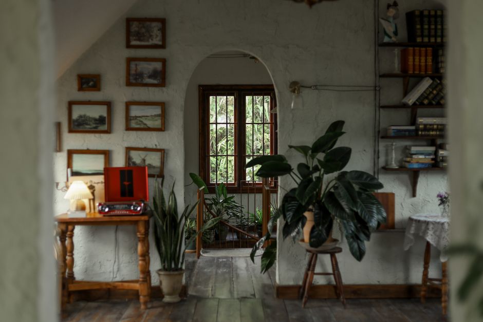 A warm and inviting vintage-style living room with plants and retro decor.