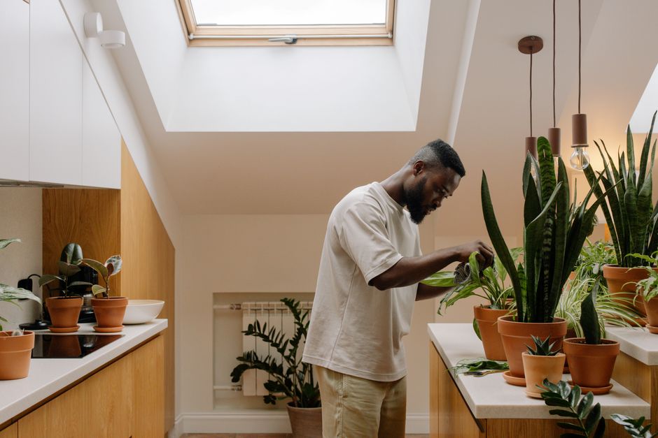Man tending to indoor plants in a modern kitchen under skylight.