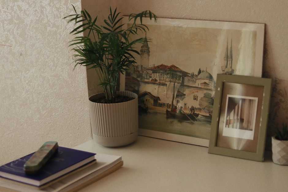 A stylish interior featuring framed art and a lush indoor plant on a tabletop.