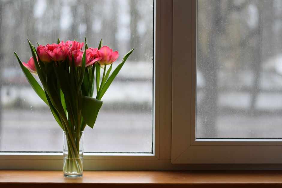 A bouquet of pink tulips in a glass vase by a window, offering a spring ambiance.