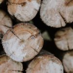 How to Pick Sustainable Wood Furniture for Your Dining Room