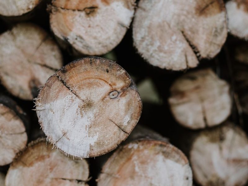 How to Pick Sustainable Wood Furniture for Your Dining Room