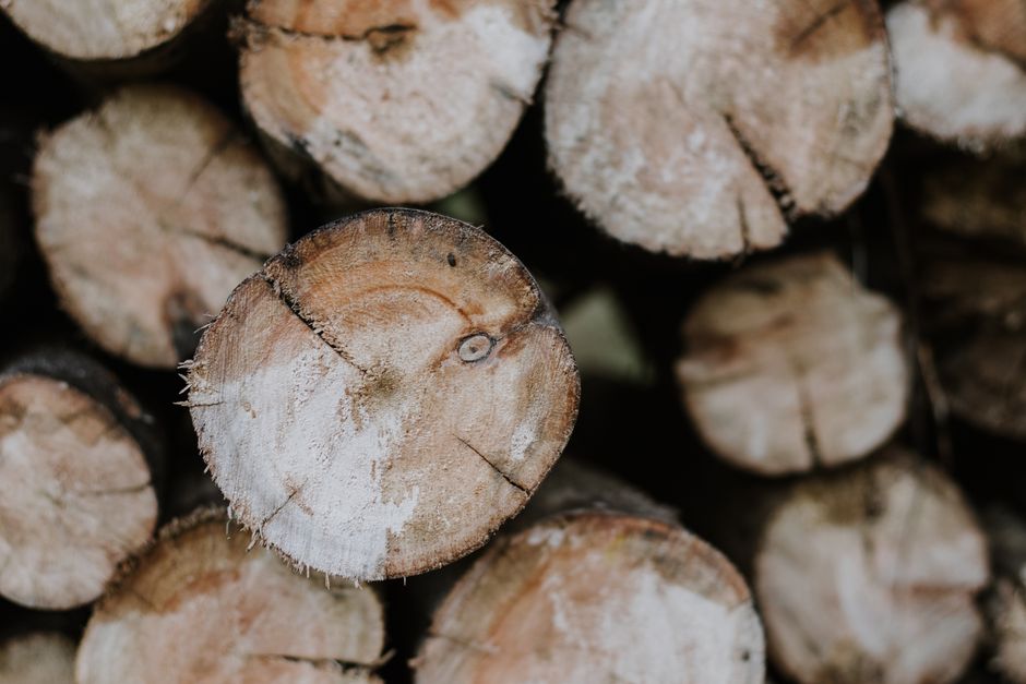How to Pick Sustainable Wood Furniture for Your Dining Room