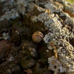 5 Countertop Materials That Actually Look Good on a Budget