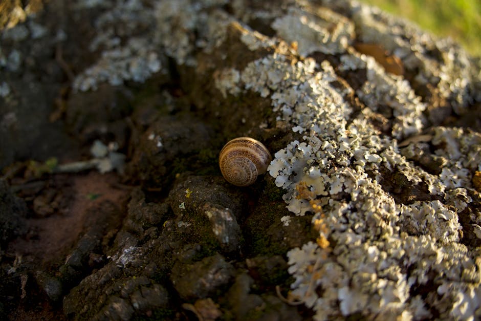 5 Countertop Materials That Actually Look Good on a Budget