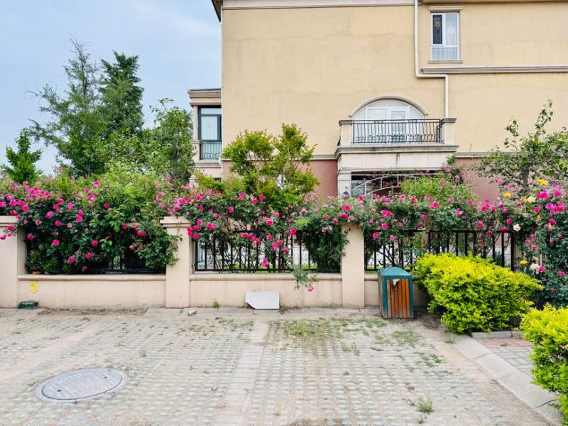 How to Create a Vertical Garden for Small Patios