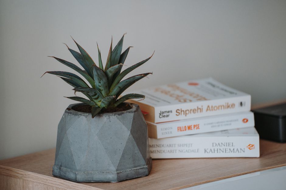A modern decorative succulent in a geometric pot placed beside books on a wooden surface.